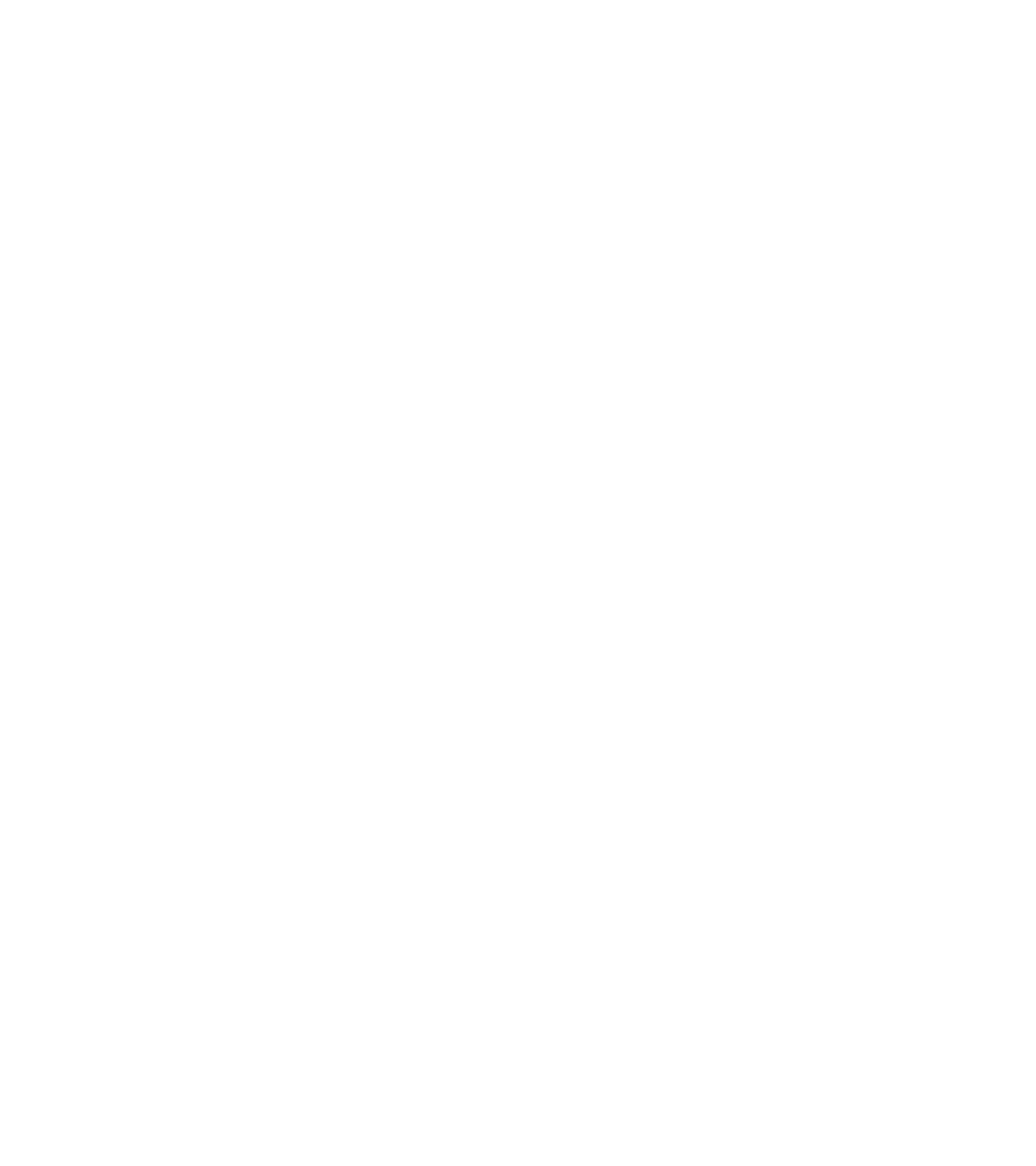 Wolf I/O